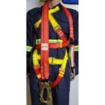 Pi7-Image-Cropper (33)-logo (2) (1)