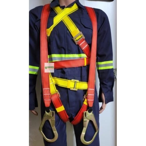 Safety Harness With Double Lanyard