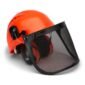 TR Industrial Forestry Safety Helmet